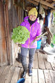 GPT22 Lettuce.jpg