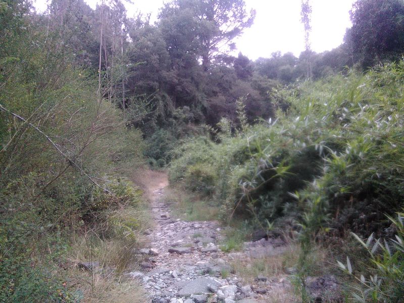Archivo:Cerro caracol (4).jpg