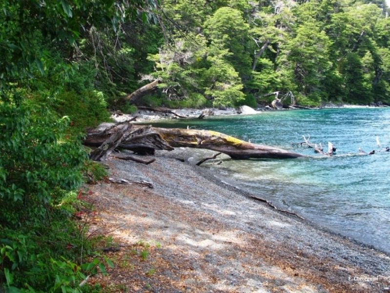 Archivo:Refugio Auquinco-Puerto Arturo-Playa lago Lolog1.jpg