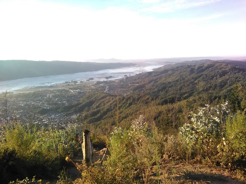 Archivo:Cerro Manquimavida.jpg
