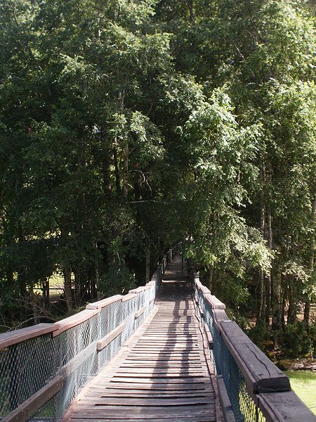 Archivo:Puente.jpg.jpg