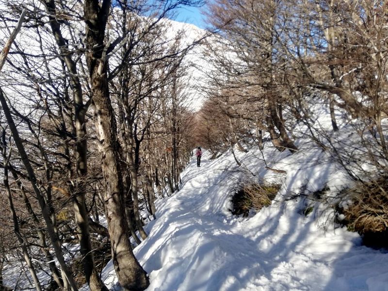 Archivo:Refugio frey (4).jpg