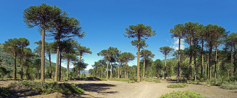 Archivo:GPT06-P0005.jpg