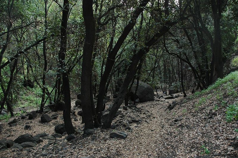Archivo:Quebrada el Bolsón.JPG