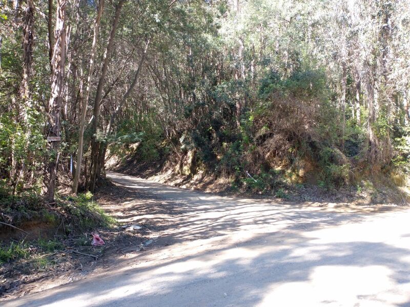 Archivo:Cerro la costilla (6).jpg