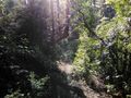 Miniatura de la versión del 17:15 1 dic 2016