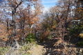 Alto de Cantillana 2.JPG