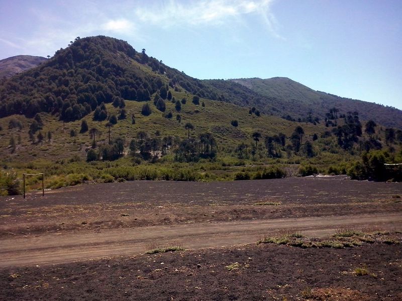 Archivo:Cam00128.jpg